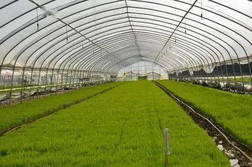 Agricultural technology and farming techniques