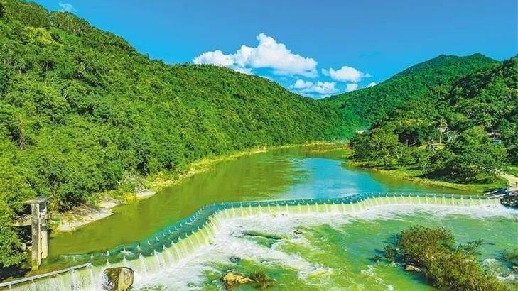 Planted dragon nuts cultivation technology