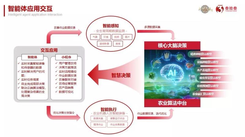 东北马铃薯种植技术