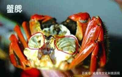 怎么吃螃蟹步骤图