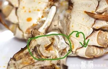怎么吃螃蟹步骤图