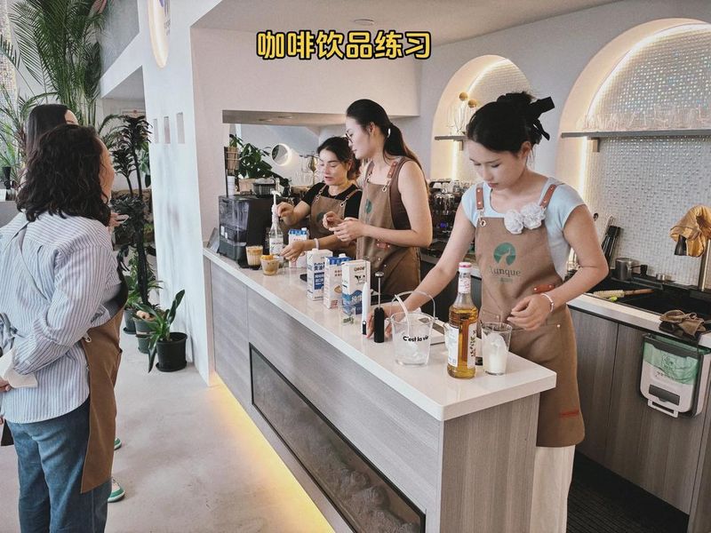 咖啡的基础知识