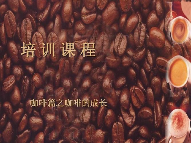 咖啡的基础知识