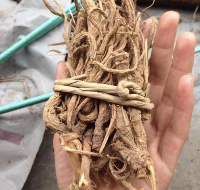 隔山香种植技术