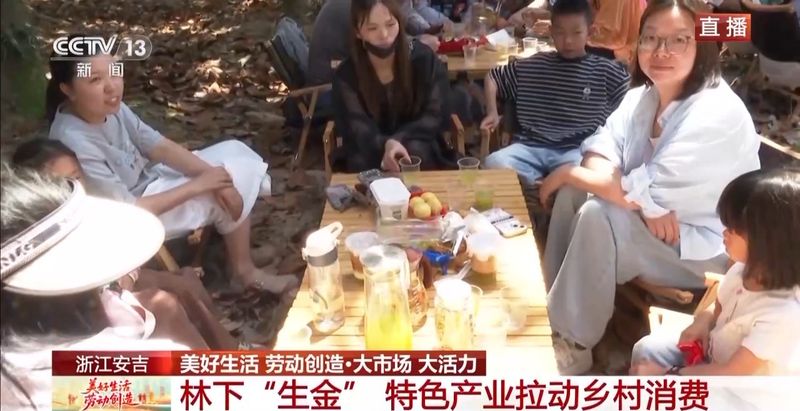 石斛盆栽怎么种植方法