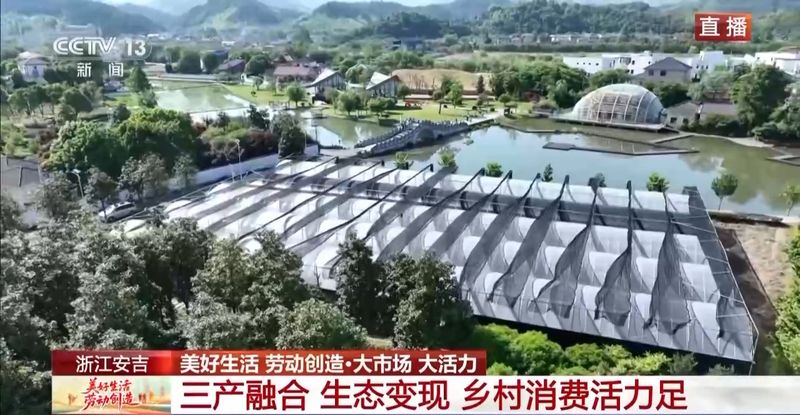 石斛盆栽怎么种植方法