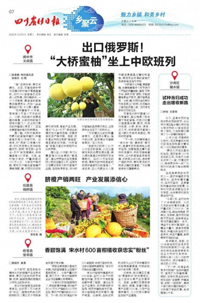 阿坝州当归的种植方法