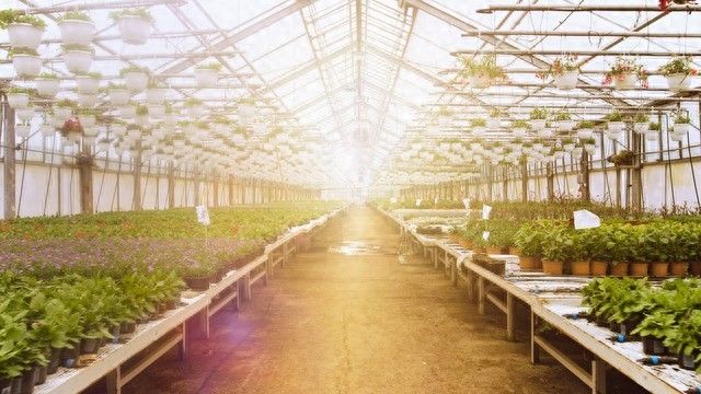 Agricultural technology and farming techniques