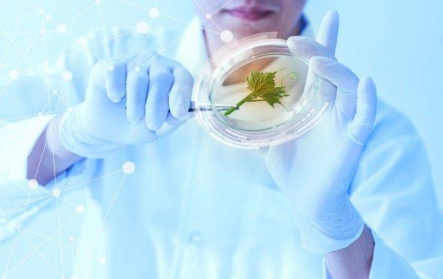 Agricultural technology and farming techniques