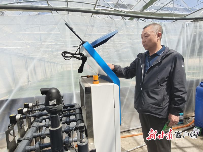 阿坝州当归的种植方法