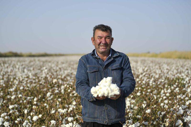Technology for cotton cultivation