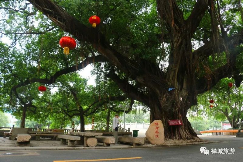 揭阳楼要买门票吗,多少钱