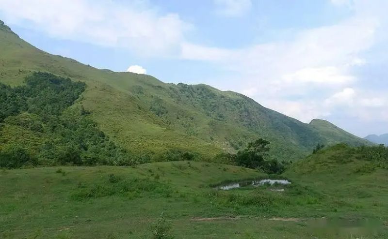 茂名seo博客