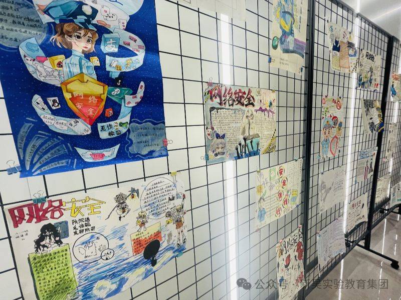 No tin education rule of law knowledge competition