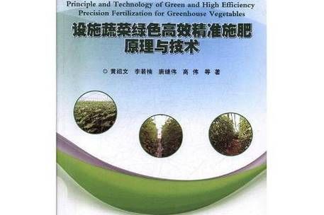 草莓的种植方法和技术