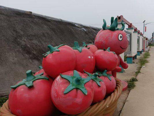 It's about the technology of growing tomatoes