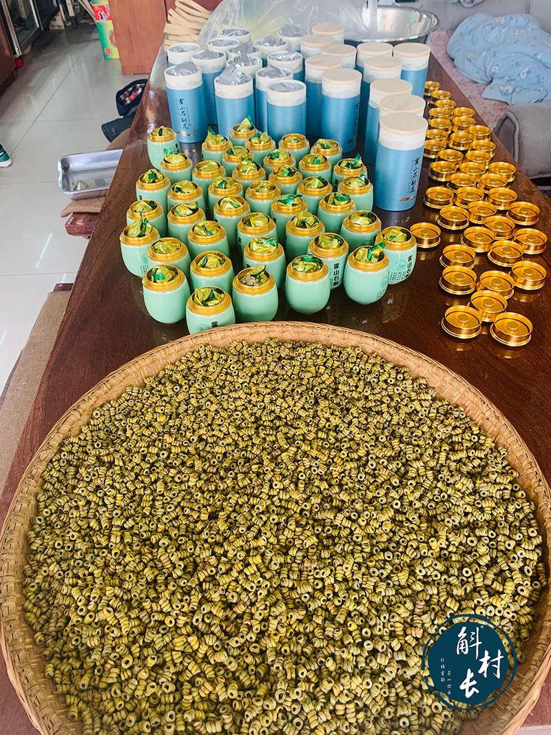 石斛盆栽怎么种植方法