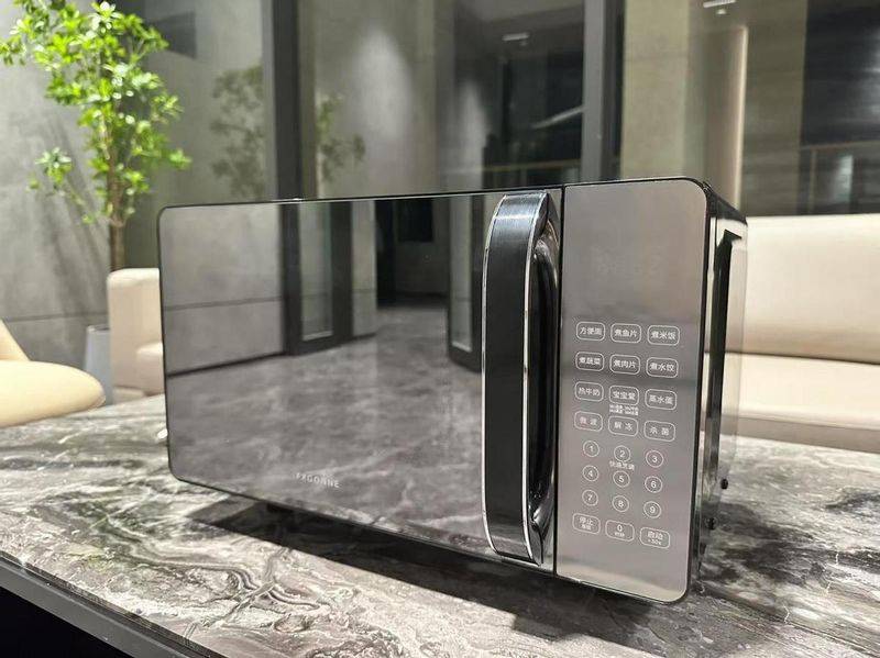 Price for maintenance of the griss microwave oven