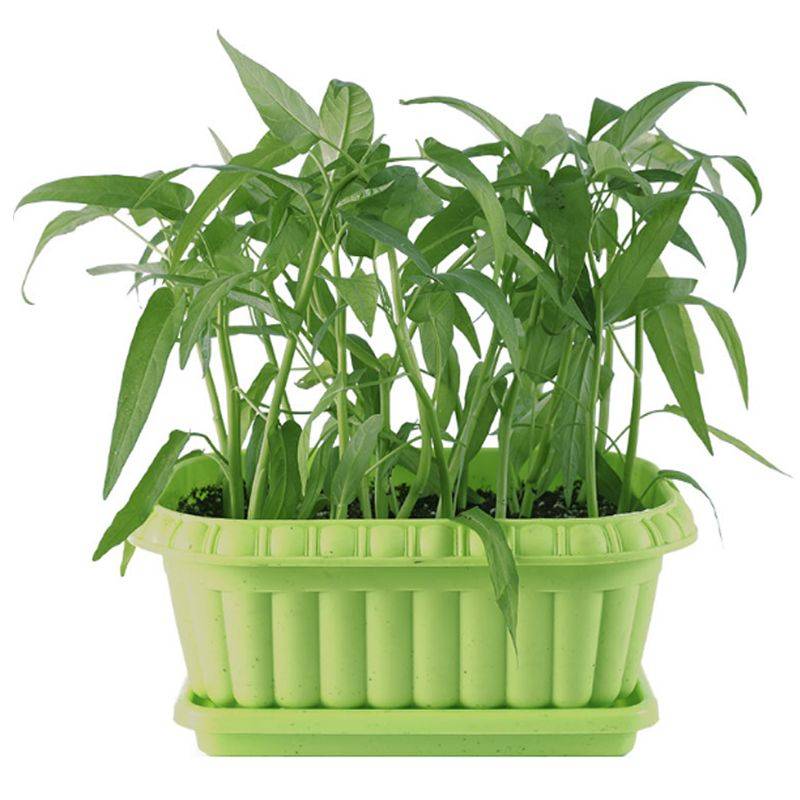 Technology for empty cabbage