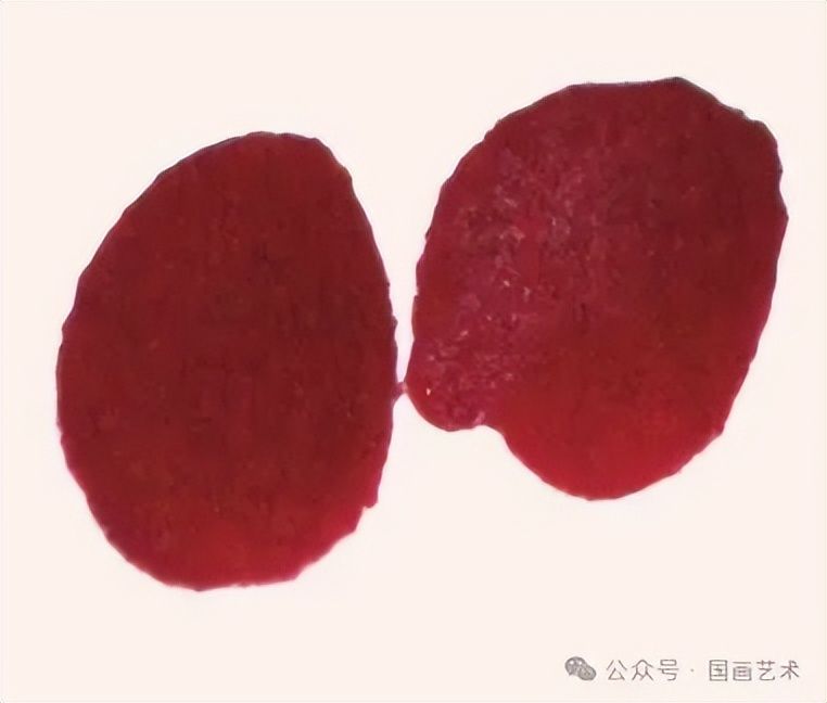 国画画梅花的步骤