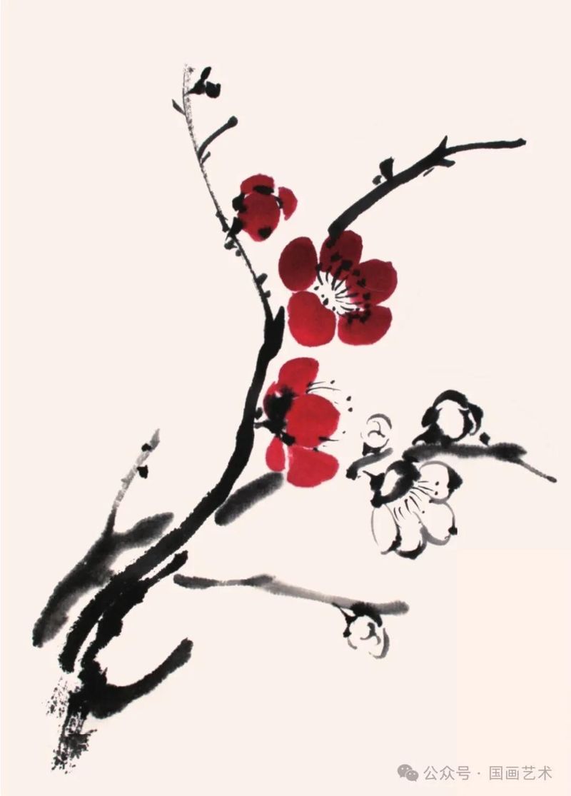 国画画梅花的步骤