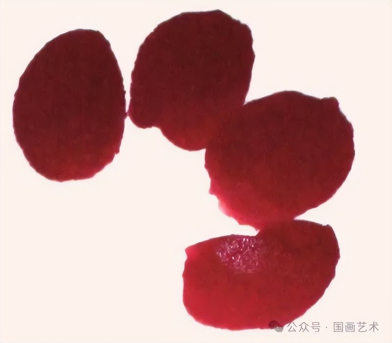 国画画梅花的步骤