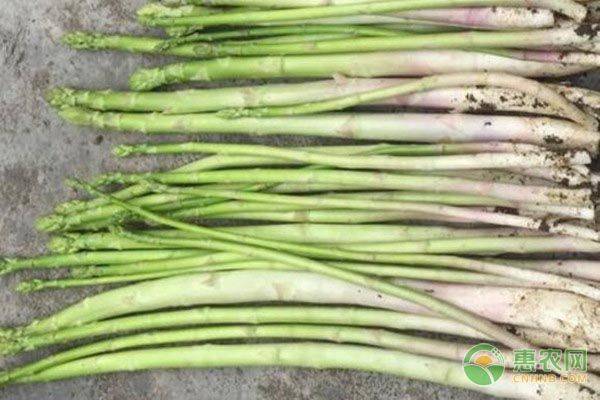 Seed cultivation methods