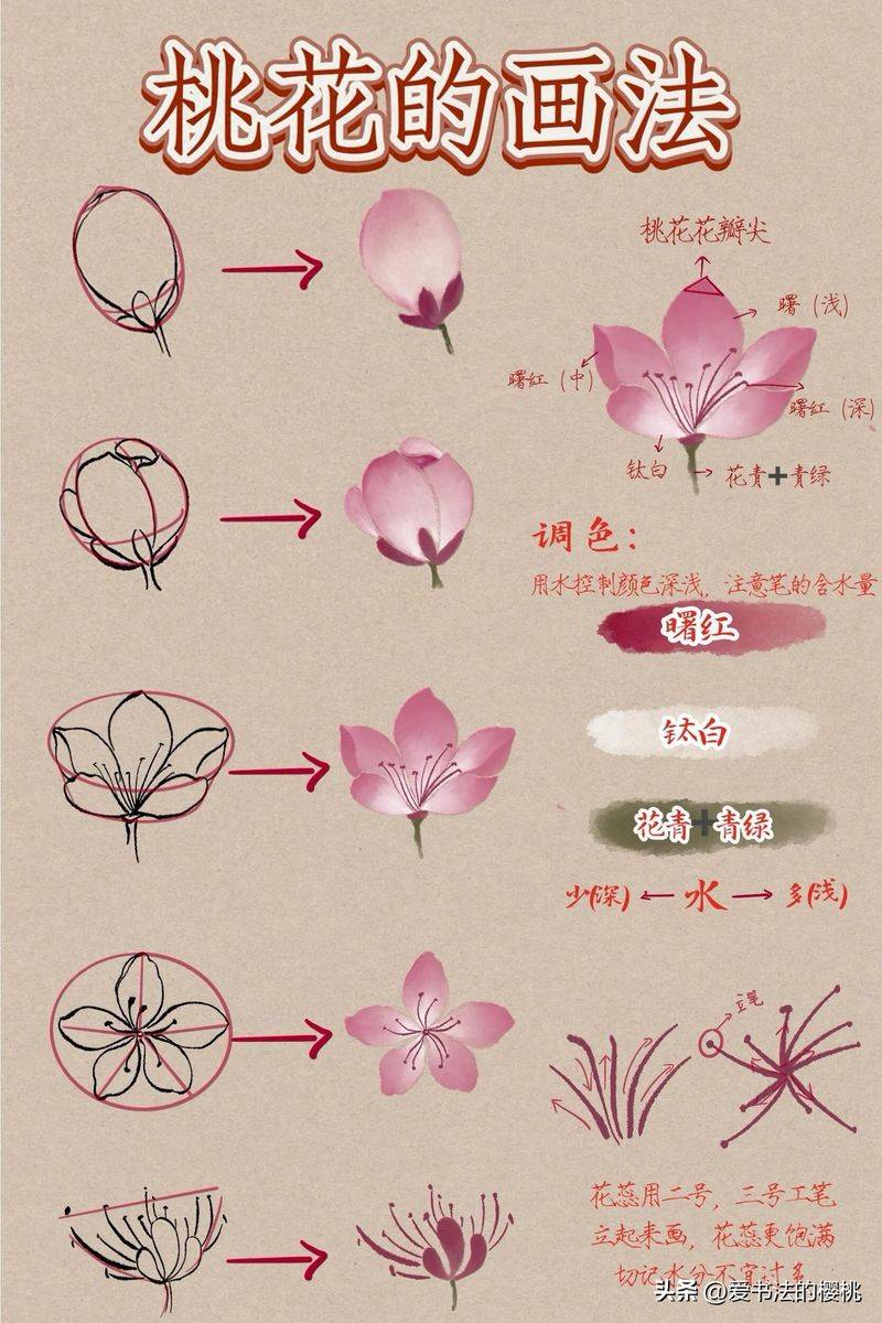 国画画梅花的步骤