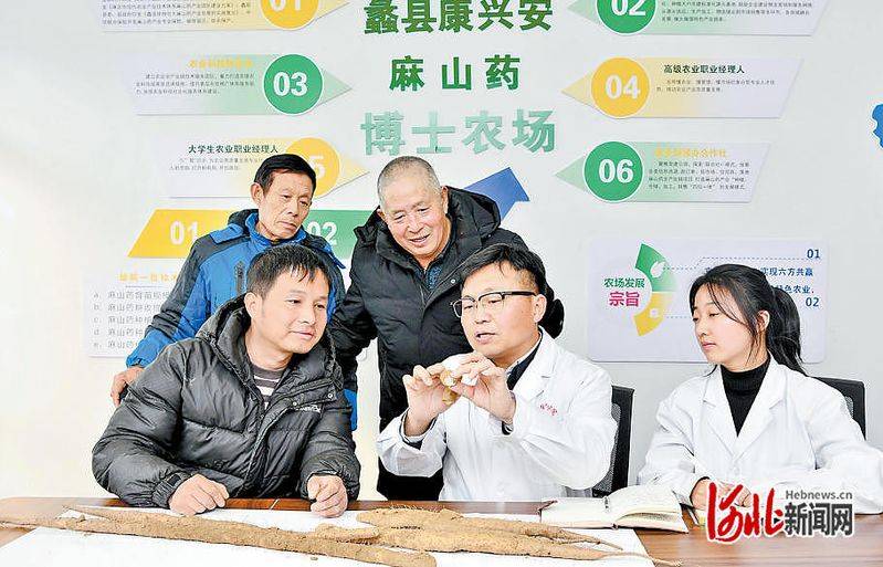 山药种植方法