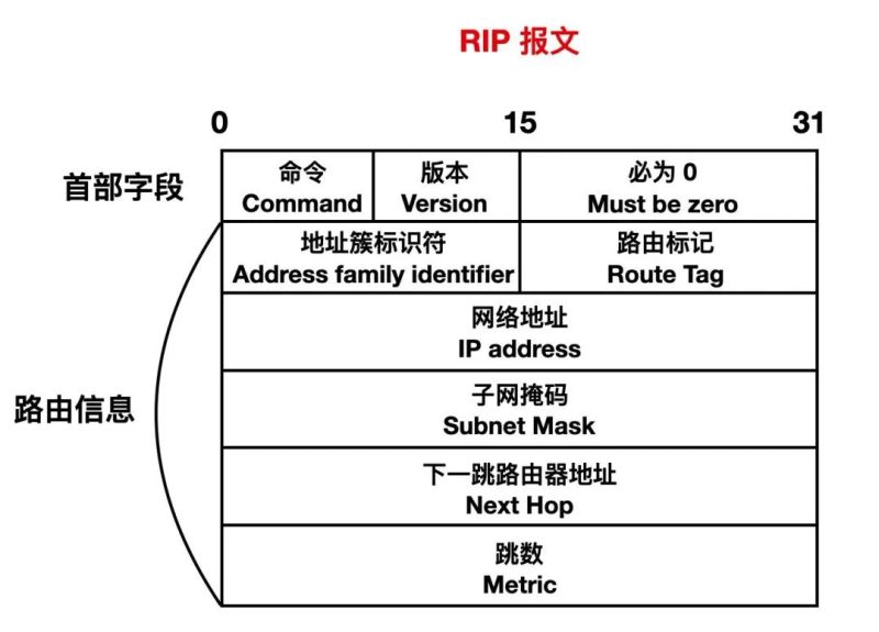 rip路由协议的原理