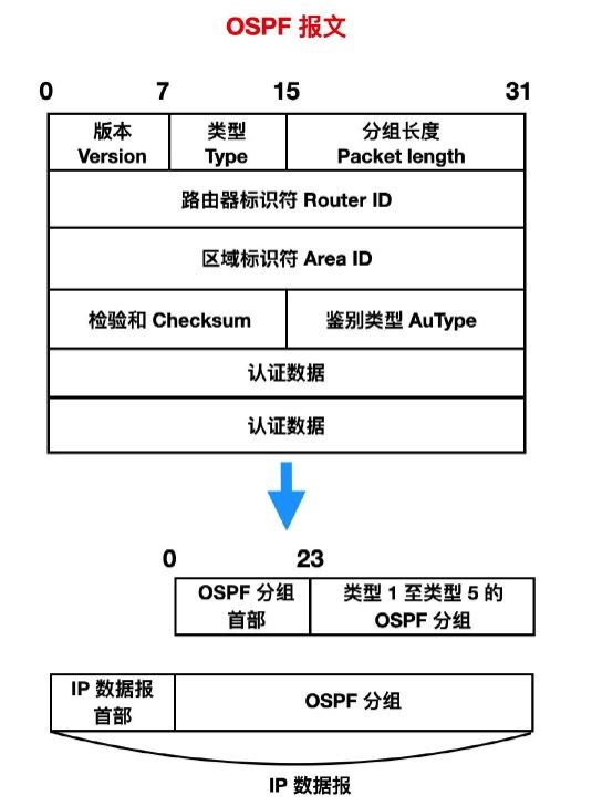 rip路由协议的原理
