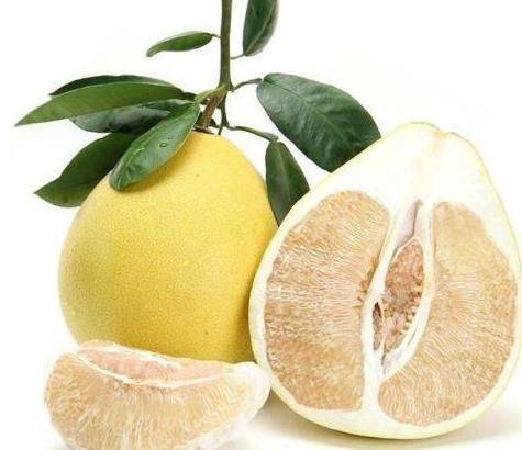 A video on the techniques of planting grapefruit trees