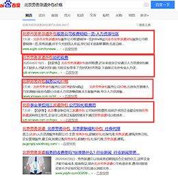 奇奇seo优化软件_广东seo自动优化软件