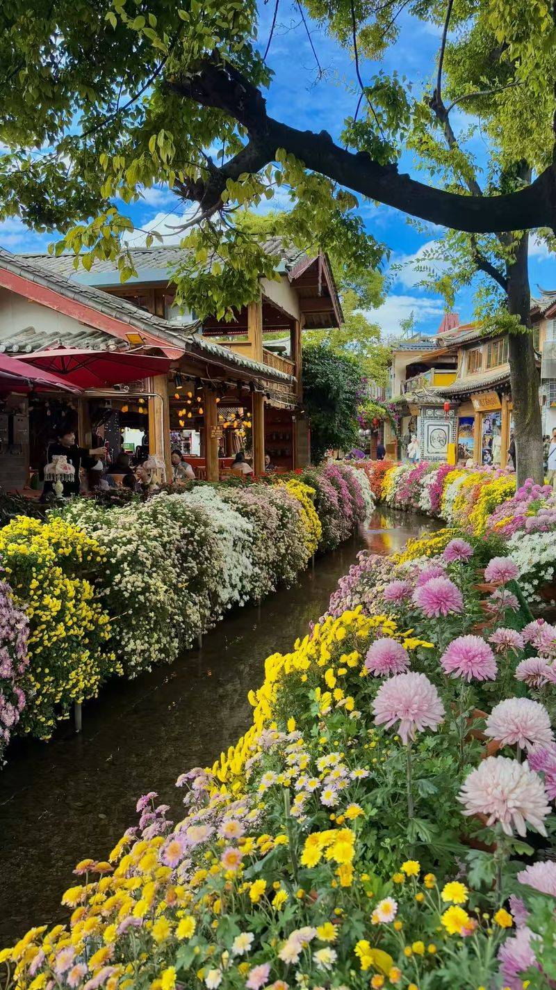 丽江古城旅游多少钱