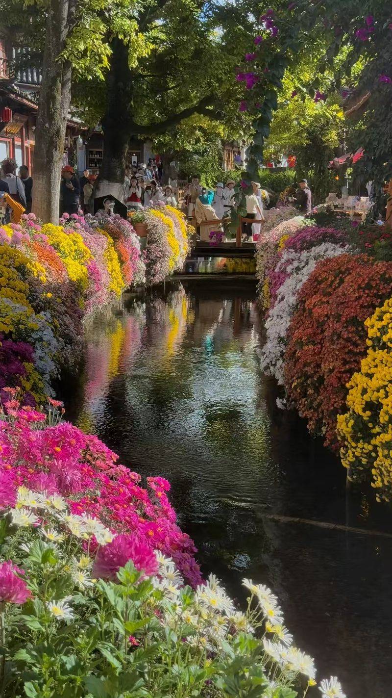 丽江古城旅游多少钱