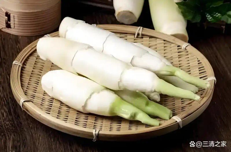 茭白种植技术视频