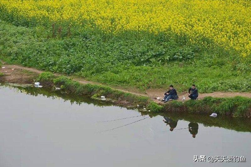 春季钓鱼方法