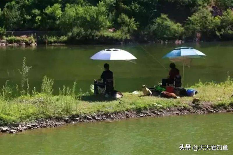 春季钓鱼方法