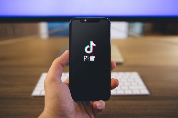 蒲公英seo工作室