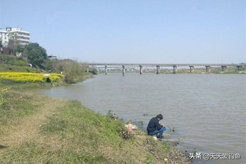春季钓鱼方法