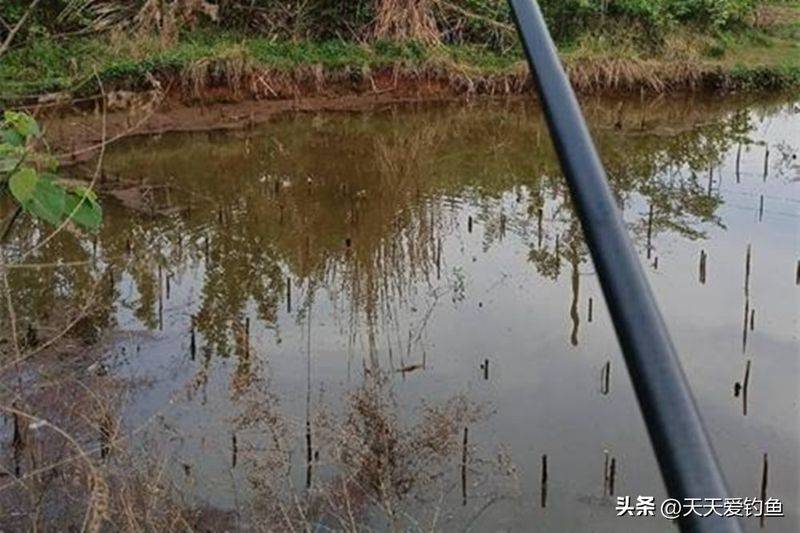 春季钓鱼方法
