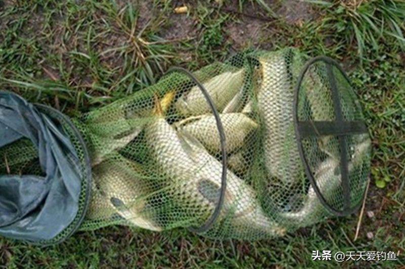 春季钓鱼方法