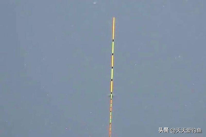 春季钓鱼方法