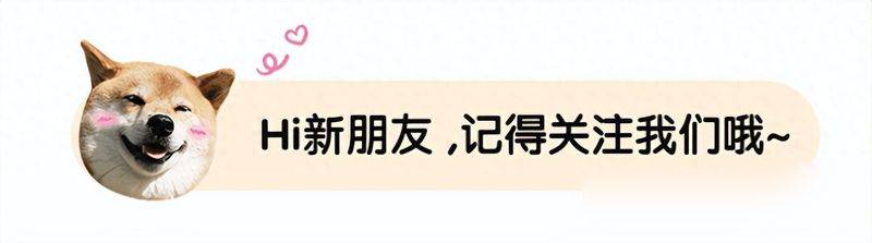 豹纹陆龟多少钱