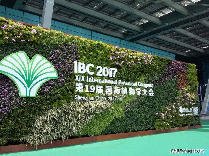 国槐的种植方法