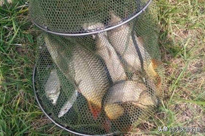春季钓鱼方法