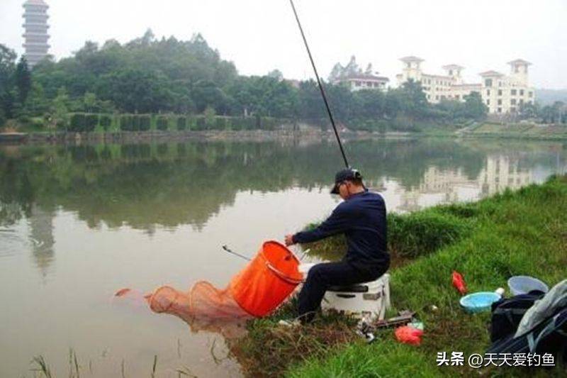 春季钓鱼方法