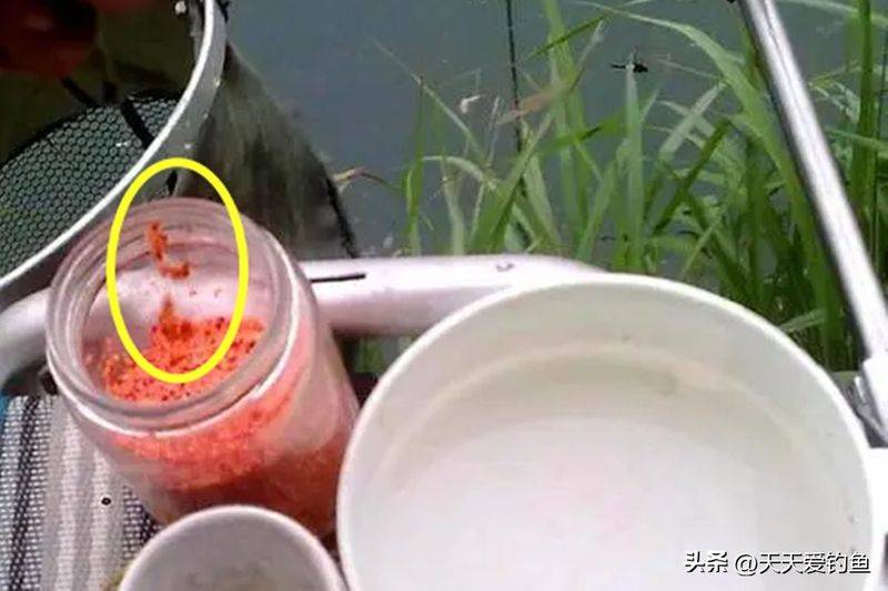 春季钓鱼方法