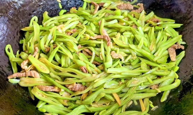 四季豆种植技术