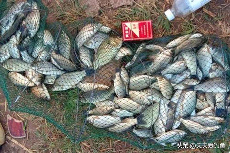 春季钓鱼方法